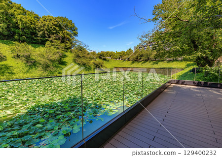 Kudan Kaikan Terrace, Kudan, Chiyoda Ward, Tokyo 129400232