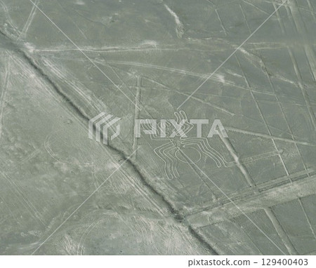 Nazca Lines Spider World Heritage Peru 129400403