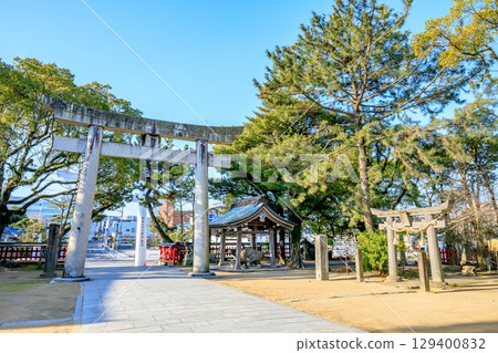 佐賀縣唐津市春天的唐津神社 129400832
