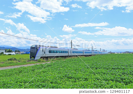 Oito Line Summer Limited Express Azusa 129401117