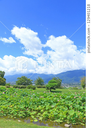 安曇野池田工藝公園的蓮花池 安曇野池田工藝公園的蓮花池 129401218