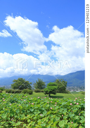 安曇野池田工藝公園的蓮花池 129401219