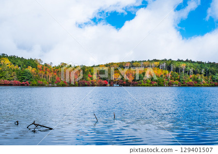 秋天的白駒池 秋天的白駒池 129401507