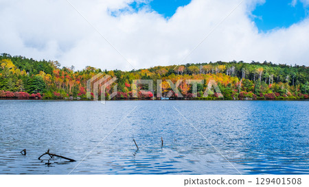 秋天的白駒池 129401508