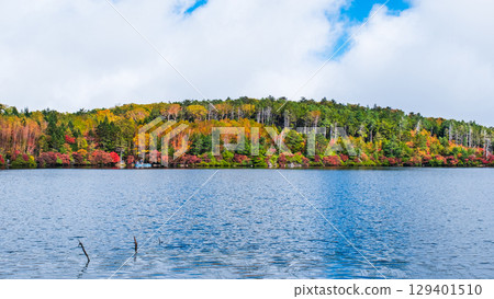 秋天的白駒池 129401510