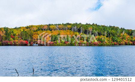 秋天的白駒池 129401512