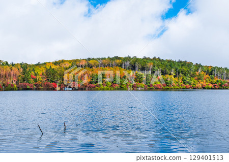 秋天的白駒池 129401513