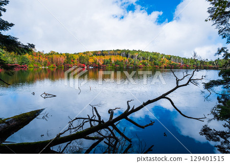 秋天的白駒池 129401515