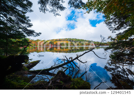 秋天的白駒池 129401545