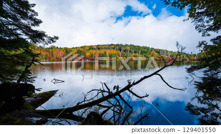 秋天的白駒池 秋天的白駒池 129401550