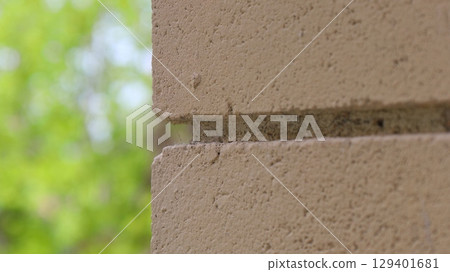 close up of beige brick wall close up of beige brick wall 129401681
