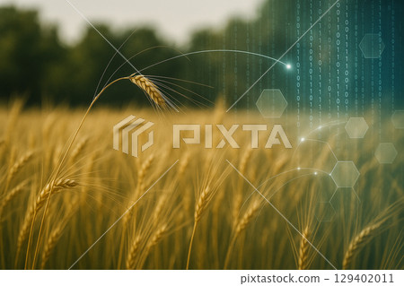 AI generated golden wheat field with digital elements symbolizing smart farming data connection and sustainable agriculture in a natural environment 129402011