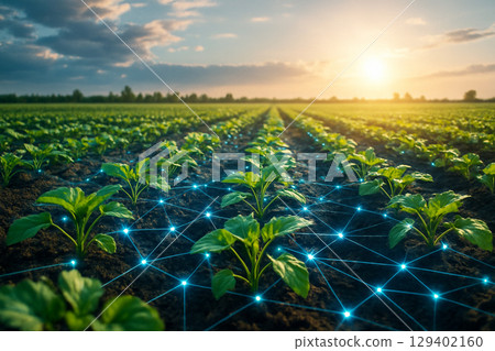 AI generated ultra realistic field of green crops with glowing blue digital mesh symbolizing real time data analysis precision farming and sustainable technology in agriculture AI generated ultra realistic field of green crops with glowing blue digital mesh symbolizing real time data analysis precision farming and sustainable technology in agriculture 129402160