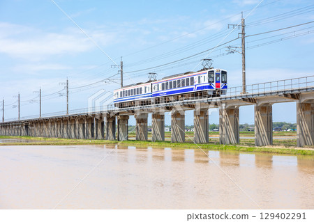 [Hokuhoku Line] A local train running on an elevated track surrounded by rice paddies 129402291
