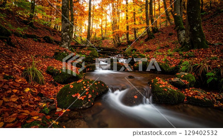 清澈的小溪流過被秋葉染成紅色和黃色的森林 129402532