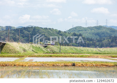 [Hokuhoku Line] A local train running on an embankment over rice paddies 129402672