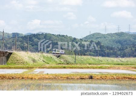[Hokuhoku Line] A local train running on an embankment over rice paddies 129402673