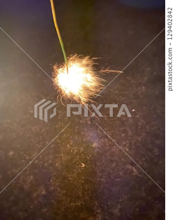 Sparklers that bloom on summer nights 129402842