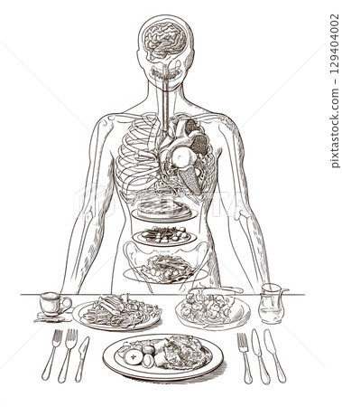 line art illustration of internal body and food imbalance, 129404002
