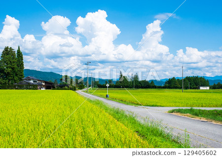 國家景觀在夏天 國家景觀在夏天 129405602