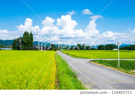 國家景觀在夏天 129405723