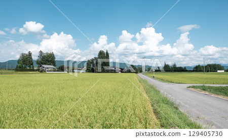 國家景觀在夏天 129405730