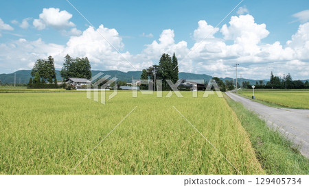 國家景觀在夏天 129405734