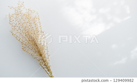 自然秋冬圖像背景照片:簡單的陽光透過樹木,時尚的現代白色背景,複製空間 自然秋冬圖像背景照片:簡單的陽光透過樹木,時尚的現代白色背景,複製空間 129409982