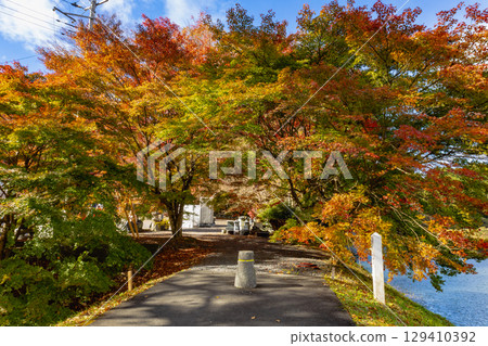 茨城縣紅葉寺 129410392