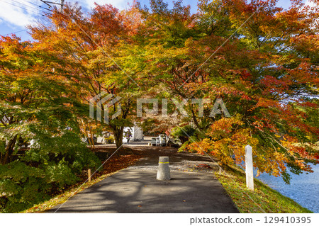 茨城縣紅葉寺 129410395