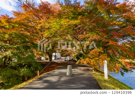 茨城縣紅葉寺 129410396