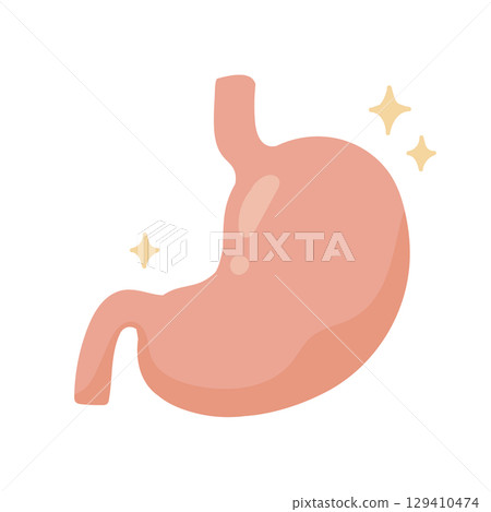 可愛的手繪插圖，描繪了一個健康、充滿活力的胃——明亮、乾淨的設計，有助於消化 129410474