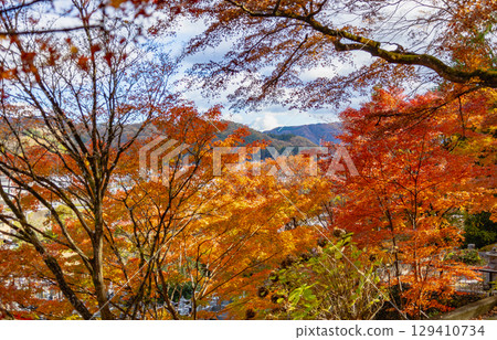 Momiji Temple, Ibaraki Prefecture 129410734