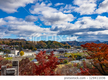 茨城縣紅葉寺 129411036