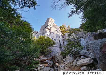 在蔚山的山路 在蔚山的山路 129411446