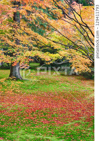 大原三千院遊星庭園的紅葉與落楓，美不勝收（京都府京都市左京區） 129411793