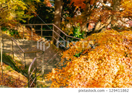 Momiji Temple, Ibaraki Prefecture Momiji Temple, Ibaraki Prefecture 129411862