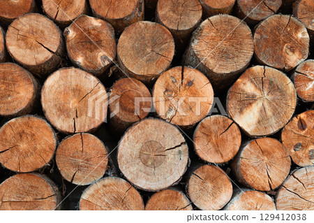Closeup of logs of trees in nature. a lot of cutted logs. 129412038