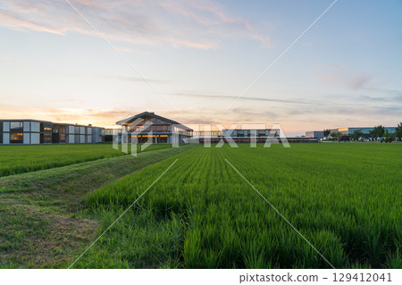 Suiden Terrace in the evening 129412041