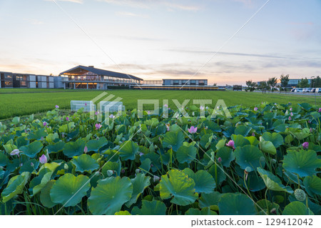 Suiden Terrace in the evening Suiden Terrace in the evening 129412042