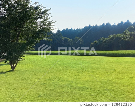 平靜的綠色景觀(背景素材) 平靜的綠色景觀(背景素材) 129412350