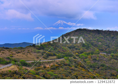 Chubu region, Izu Peninsula, the spectacular Nishiizu Skyline, the refreshing view of Mt. Fuji and the sky, Toi, Izu City, Shizuoka Prefecture (7) 129412872
