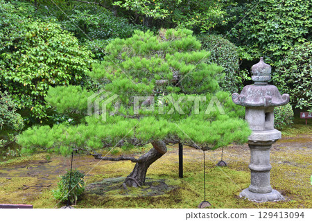 Taizoin Temple Garden 129413094