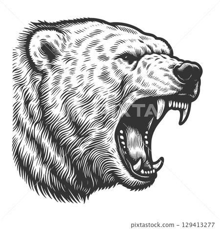 Roaring polar white bear engraving vector Roaring polar white bear engraving vector 129413277