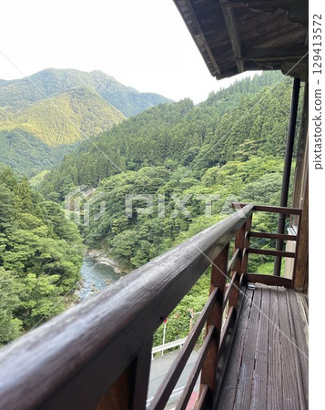 Forest view from the balcony 129413572