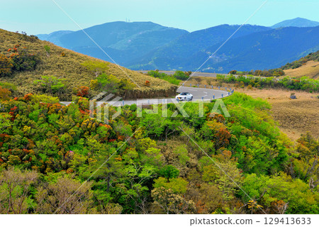 Chubu region, Izu Peninsula, The spectacular Nishiizu Skyline, a refreshing drive on the course to Mount Daruma, Toi, Izu City, Shizuoka Prefecture (3) 129413633