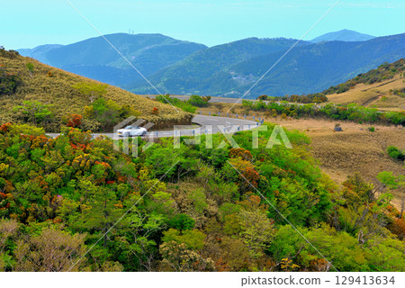 Chubu region, Izu Peninsula, The spectacular Nishiizu Skyline, a refreshing drive on the course to Mount Daruma, Toi, Izu City, Shizuoka Prefecture (4) 129413634