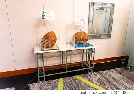 Beehive exhibit at Naspa New Otani Hotel, Yuzawa Town, Minamiuonuma District, Niigata Prefecture 129413894