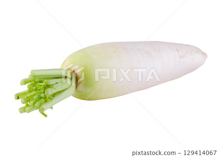 Daikon radishes isolated on a white background Daikon radishes isolated on a white background 129414067