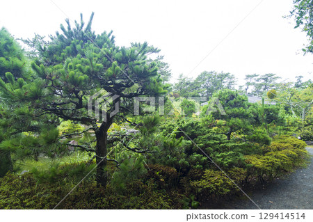 葉山潮騷公園的夏天 葉山潮騷公園的夏天 129414514